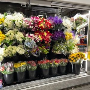 Meet your Posher, Michael langdon’s mistress